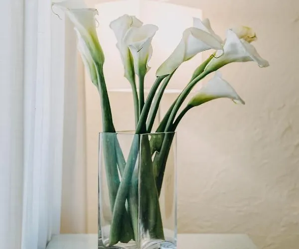 Costantinopoli 104 4* Napoli