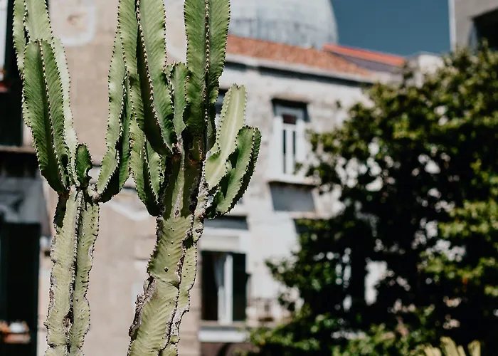 Costantinopoli 104 4*